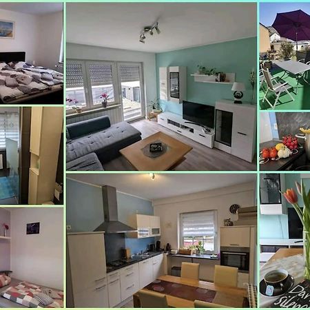 Ferienwohnung Philippi - Moselblick Mit Grosser Dachterrasse, 75 Qm, Hunde Willkommen Mehring  Kültér fotó